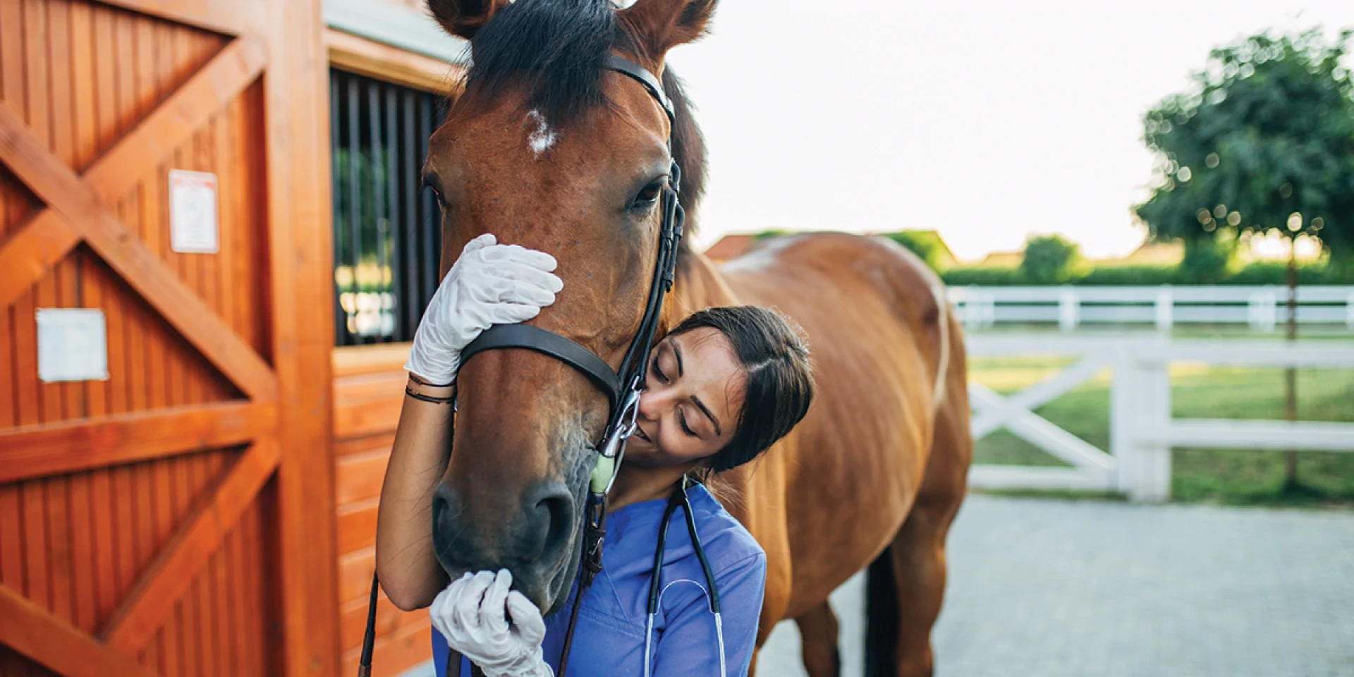 ivermectin injection vs oral
