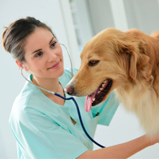 deworming tablet albendazole