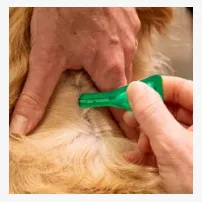 ivermectin injectable for sheep