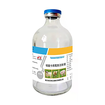 albendazole tablet how to take